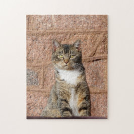 Church Cat Pussel