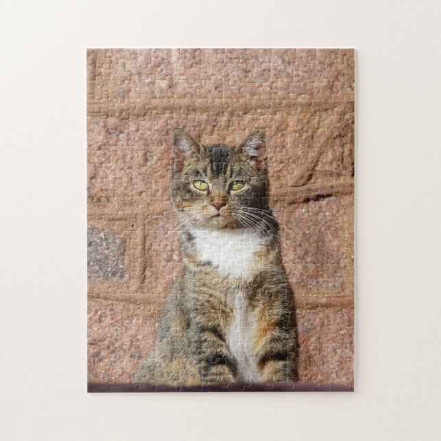 Church Cat Pussel (Vertikal)
