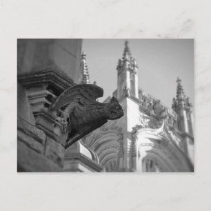 Church Gargoyle Vykort