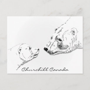Churchill Canada Postcard Polar Bear Art Cards Vykort