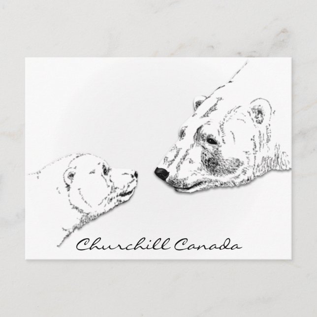 Churchill Canada Postcard Polar Bear Art Cards Vykort (Framsida)