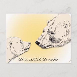 Churchill Canada Postcard Polar Bear Art Cards Vykort