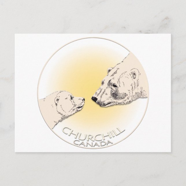 Churchill Canada Postcard Polar Bear Art Cards Vykort (Framsida)