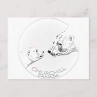 Churchill Souvenirs Polar Bear Art Shirts & Gifts