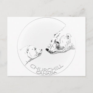 Churchill Souvenirs Polar Bear Art Shirts & Gifts Vykort