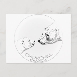 Churchill Souvenirs Polar Bear Art Shirts & Gifts Vykort