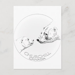 Churchill Souvenirs Polar Bear Art Shirts & Gifts Vykort
