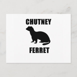 Chutney Ferret Vykort