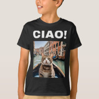 Ciao Funny Gondolier Cat på en venetian Gondola