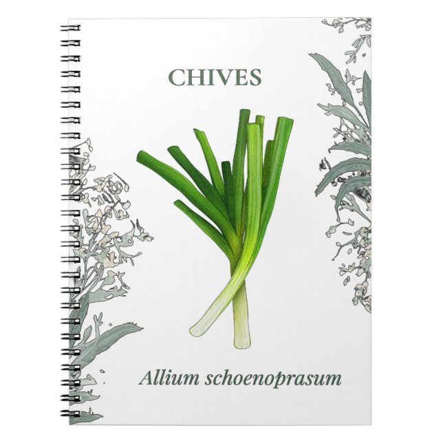 Ciboulette — Allium schoenoprasum Anteckningsbok (Framsidan)