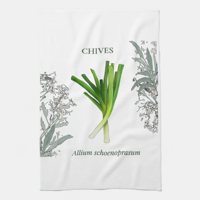 Ciboulette — Allium schoenoprasum Kökshandduk (Vertikal)