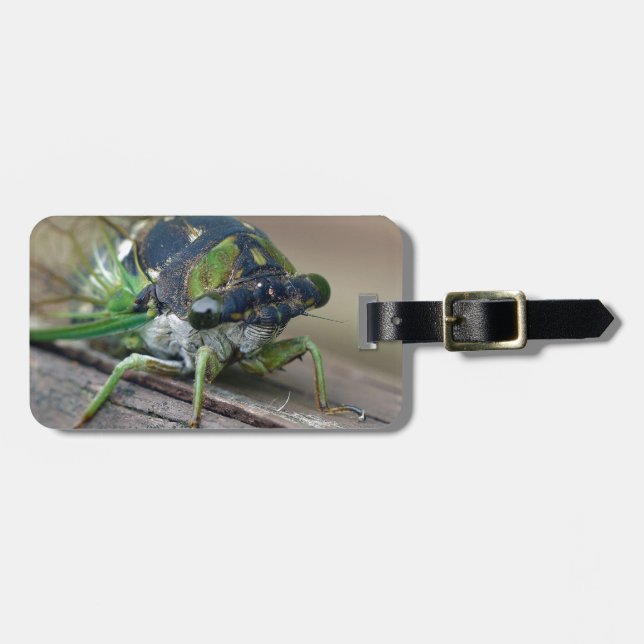 Cicada Bagagebricka (Horisontell Framsida)