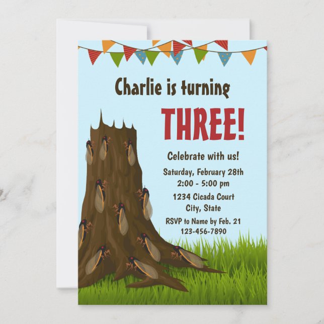 Cicada Birthday-inbjudan Inbjudningar (Framsida)