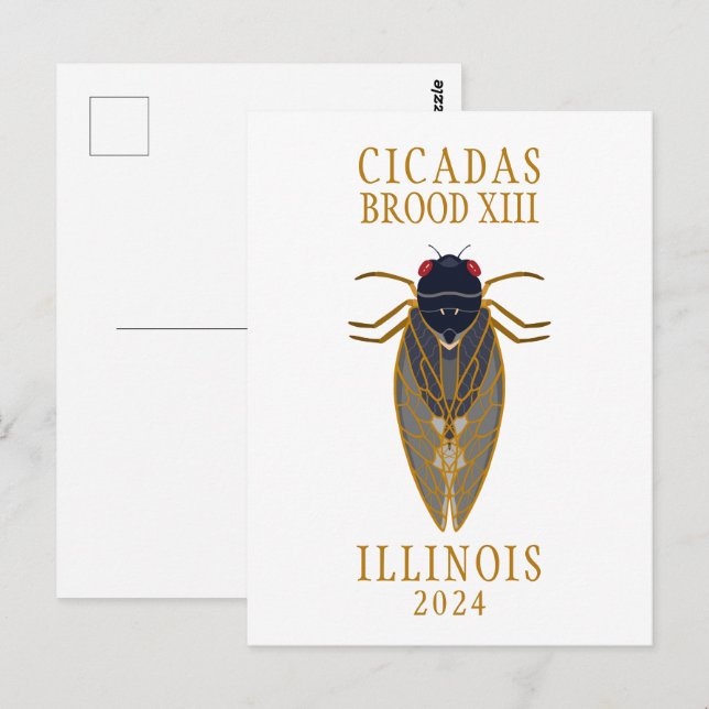 Cicada Brood XIII ILLINOIS 2024 Anpassningsbar Tex Vykort (Fram/baksida)