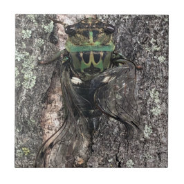 Cicada Ceramic Tile Kakelplatta