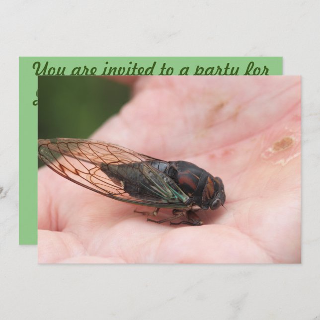 Cicada Inbjudningar (Fram/baksida)