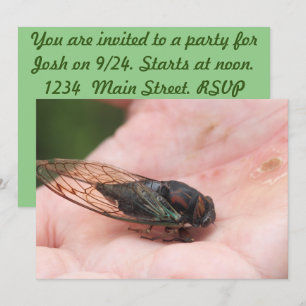 Cicada Inbjudningar