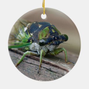 Cicada Julgransprydnad Keramik