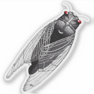 Cicada Klistermärken