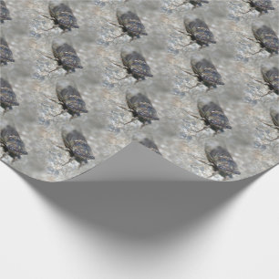Cicada Kryp Ansikte Nature Mönster Presentpapper