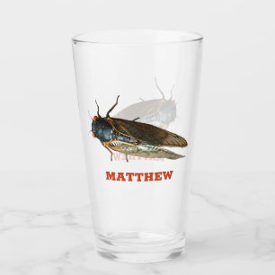 Cicada Kryp, Insekt Photo Personlig Glaskopp