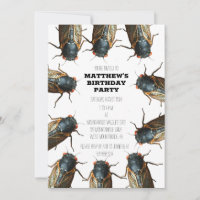Cicada Kryp, Insekter Photo Personlig