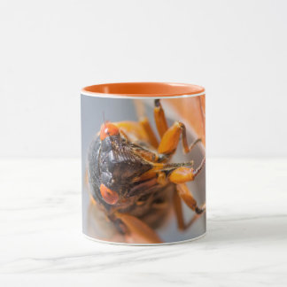 Cicada Mania Magicicada Orange Mugg