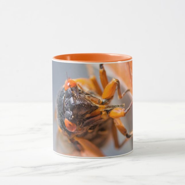 Cicada Mania Magicicada Orange Mugg (Center)