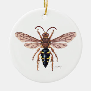 Cicada-mördare ornament