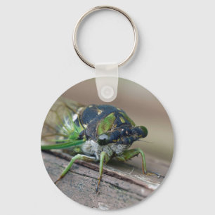 Cicada Nyckelring