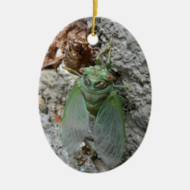 Cicada på muren julgransprydnad keramik (Framsidan)
