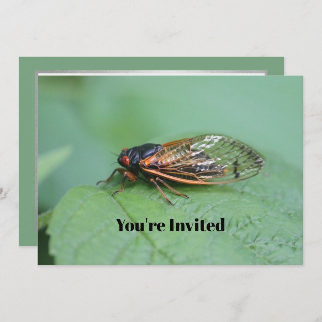 Cicada Photo Birthday Inbjudningar (Fram/baksida)