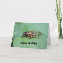 Cicada Photo Birthday Kort