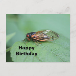 Cicada Photo Birthday Vykort