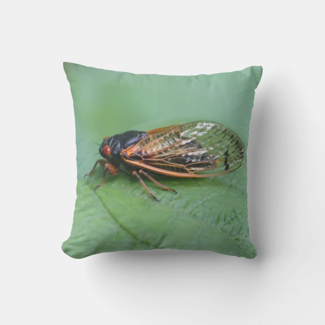 Cicada Photo Kudde (Framsida)