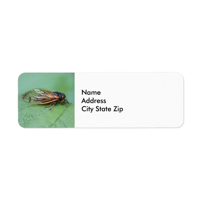 Cicada Photo Returadress Etikett (Framsidan)