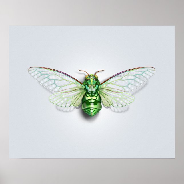 Cicada Poster (Framsidan)