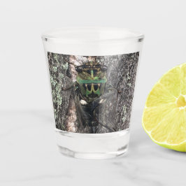 Cicada Shot Glass