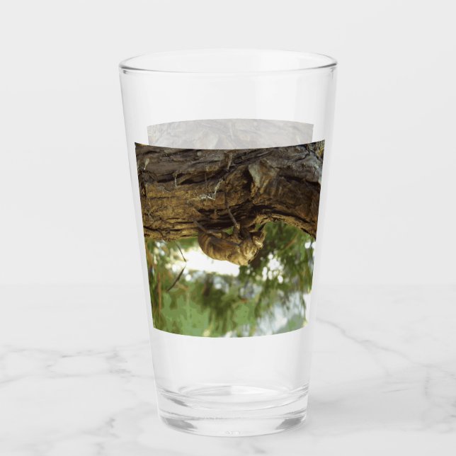 Cicada snäcka. Det hade bråttom. Glaskopp (Framsida)