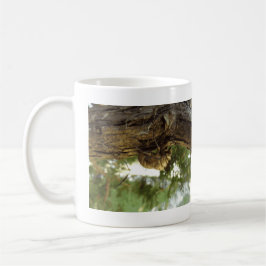 Cicada snäcka. Det hade bråttom. Kaffemugg