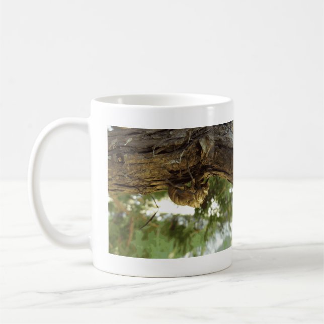 Cicada snäcka. Det hade bråttom. Kaffemugg (Vänster)