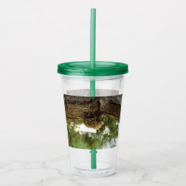 Cicada snäcka. Det hade bråttom. Take Away Mugg