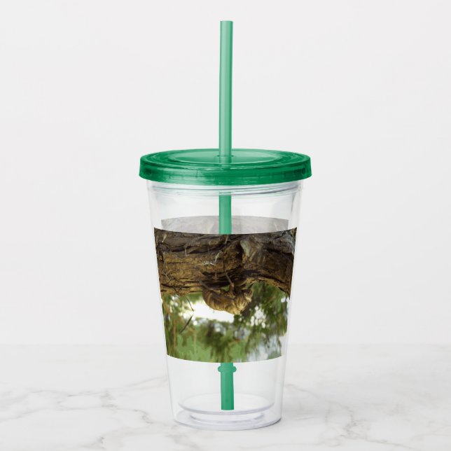 Cicada snäcka. Det hade bråttom. Take Away Mugg (Framsida)