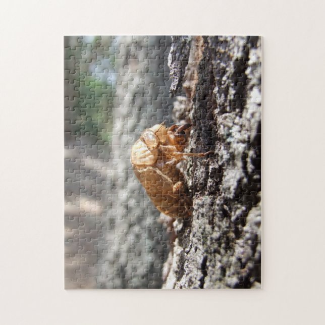 Cicada Snäcka Puzzle Pussel (Vertikal)