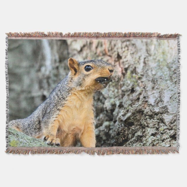 Cicada snacker filt (Framsidan)