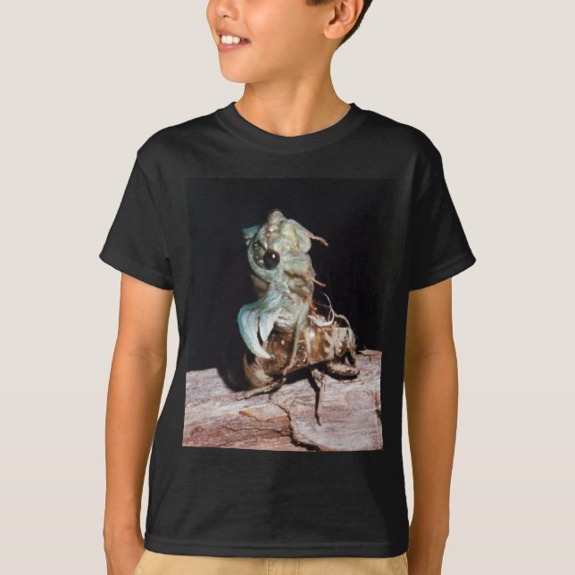 Cicada som uppstått ur Snäckan Tee Shirt (Framsida)