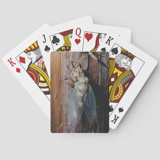 Cicada torkar sin vinge spel kort (Baksidan)