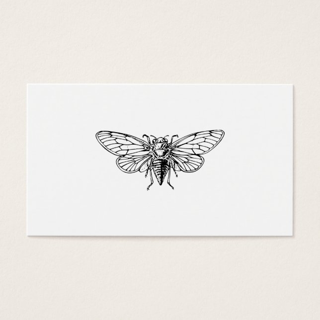 Cicada Visitkort (Framsidan)