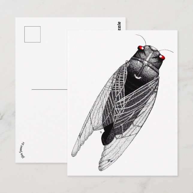 Cicada Vykort (Fram/baksida)