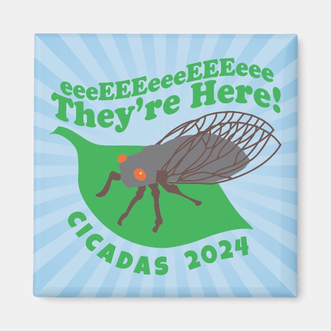 Cicadas 2024 De är här Magnet (Framsidan)